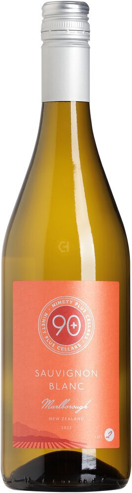 90+ SAUVIGNON BLANC LOIRE LOT 213