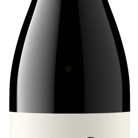 DECOY PINOT NOIR