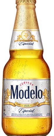 MODELO ESPECIAL