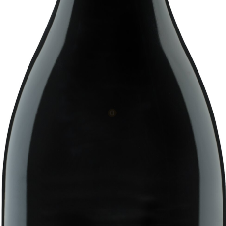 ORIN SWIFT SLANDER