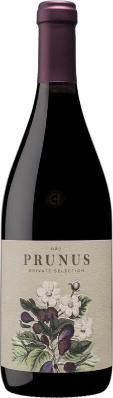 DAO PRUNUS PRIVATE SELECTION